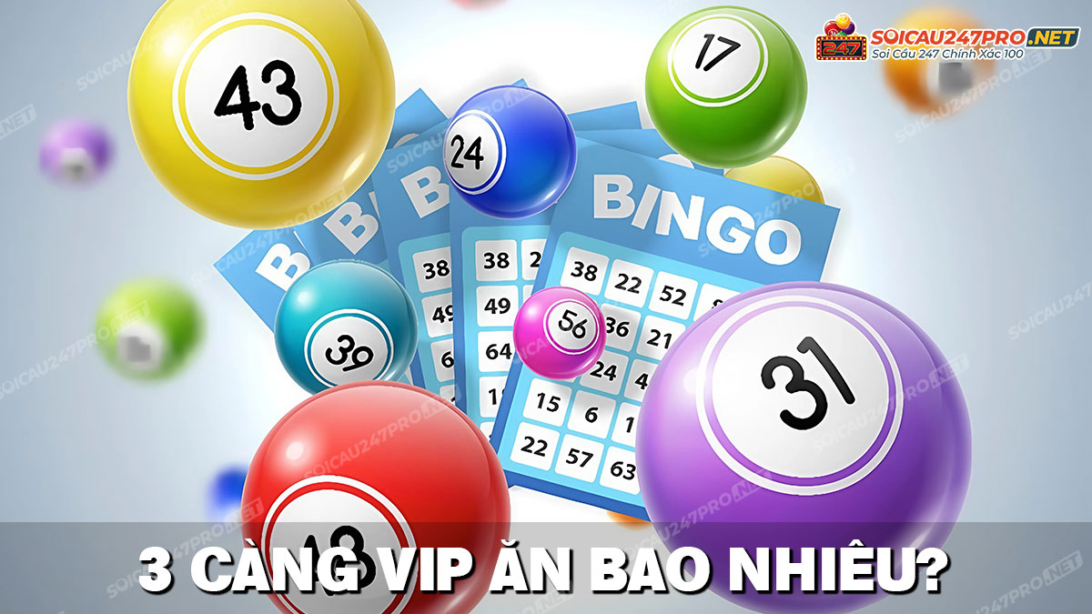 3 càng VIP hôm nay ăn bao nhiêu tiền