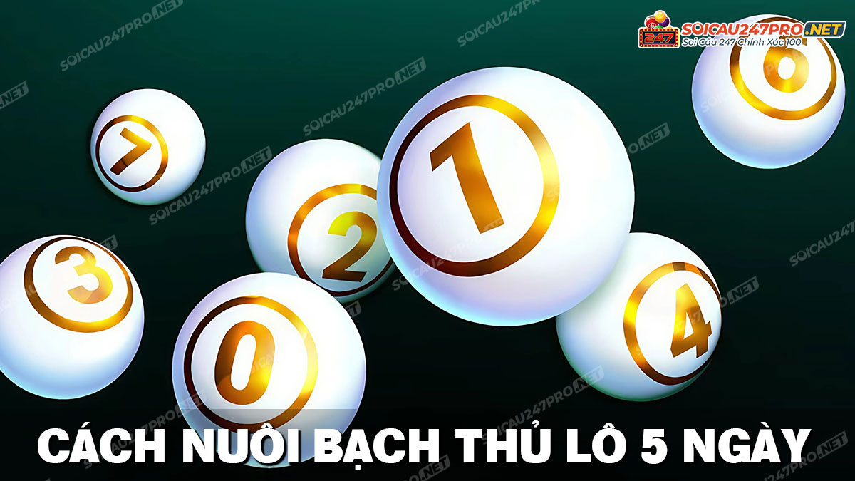 Cách nuôi lô bạch thủ khung 5 ngày