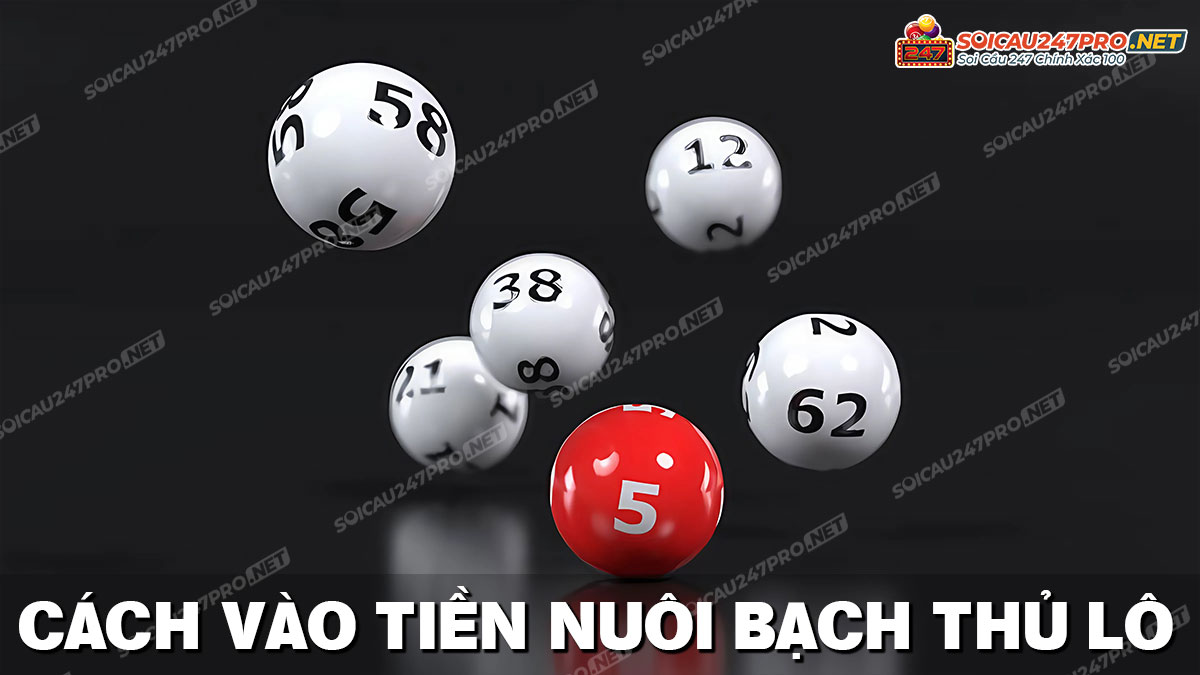 Cách vào tiền nuôi bạch thủ lô khung 3 ngày